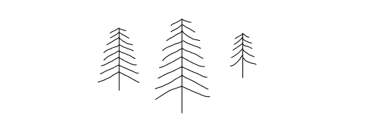 pine